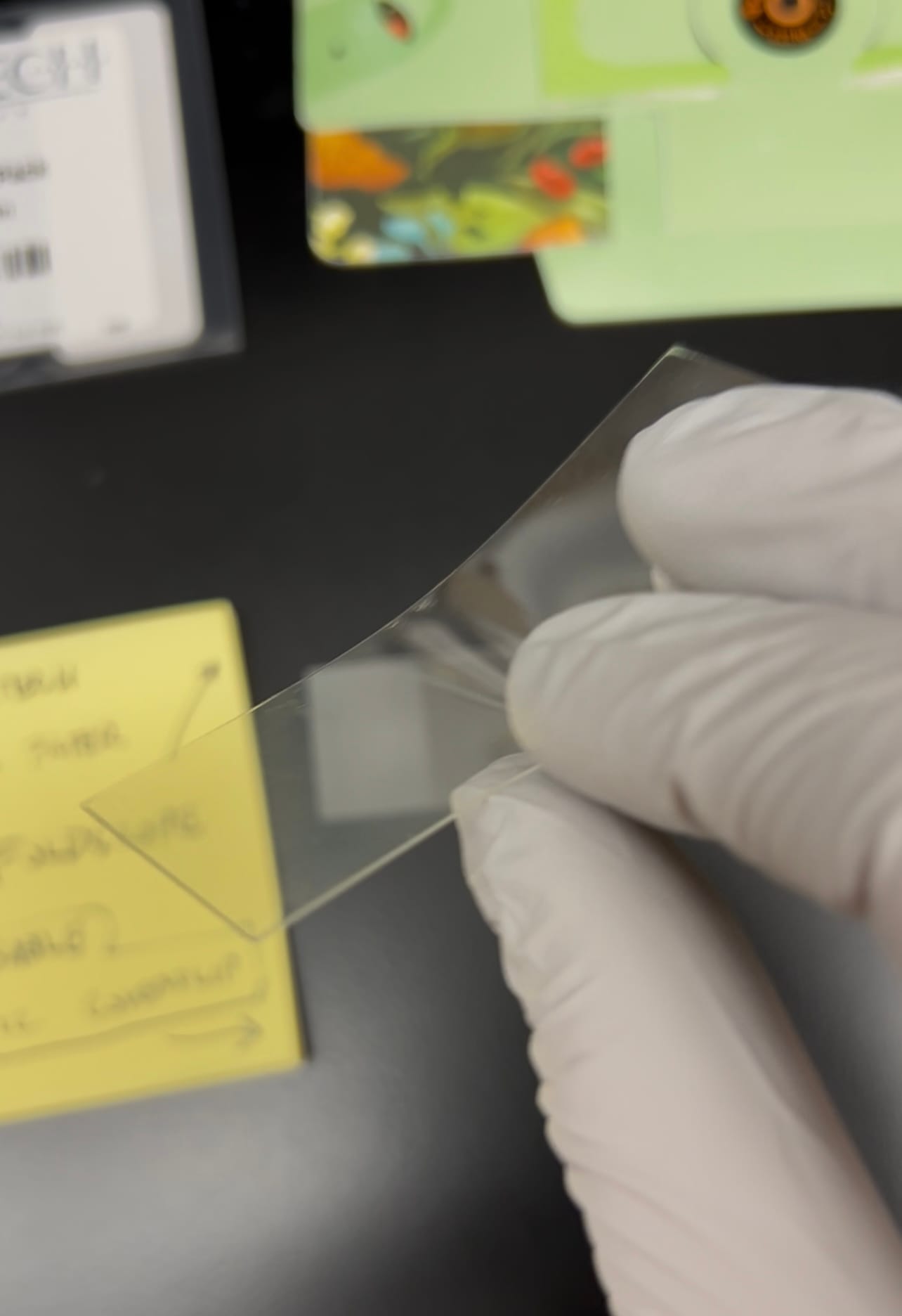 A gloved hand bends a thin acrylic coverslip to show its flexibility