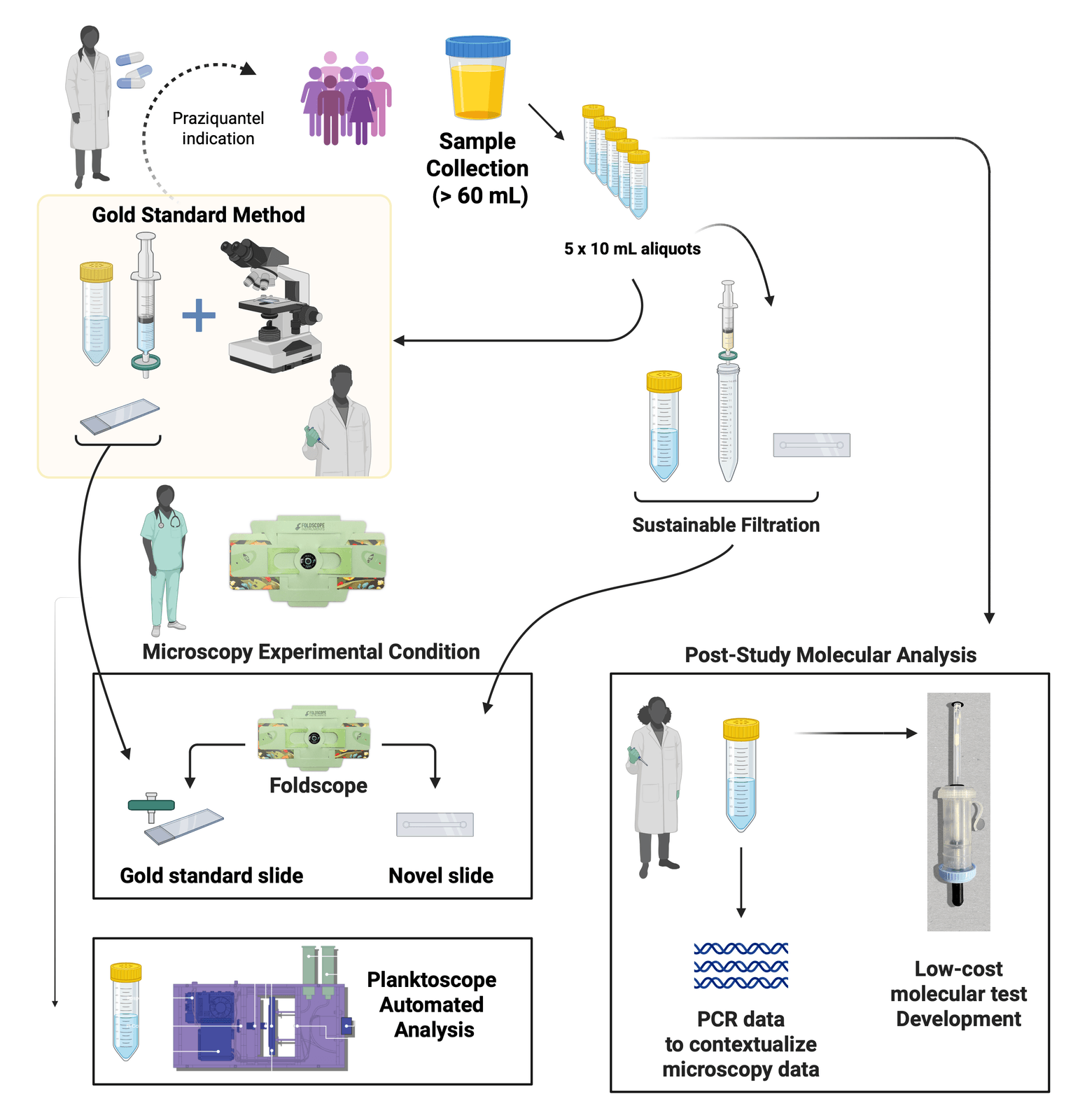 Workflow diagram for the 2025 study: sample collection and aliquots, gold-standard method, sustainable filtration, Foldscope and novel slide conditions, PlanktoScope automated analysis, and post-study PCR and molecular test development
