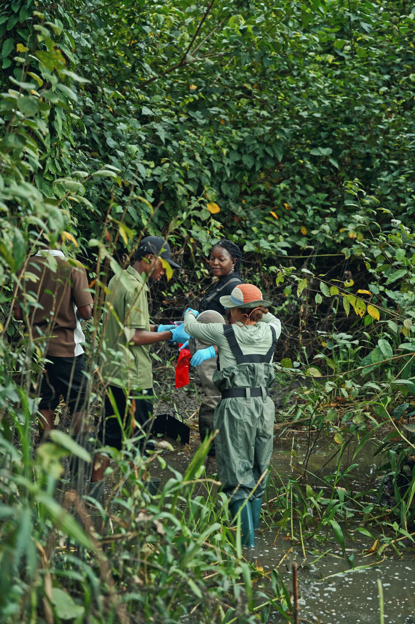 Members of the survey team in waders pause among dense green riverside vegetation