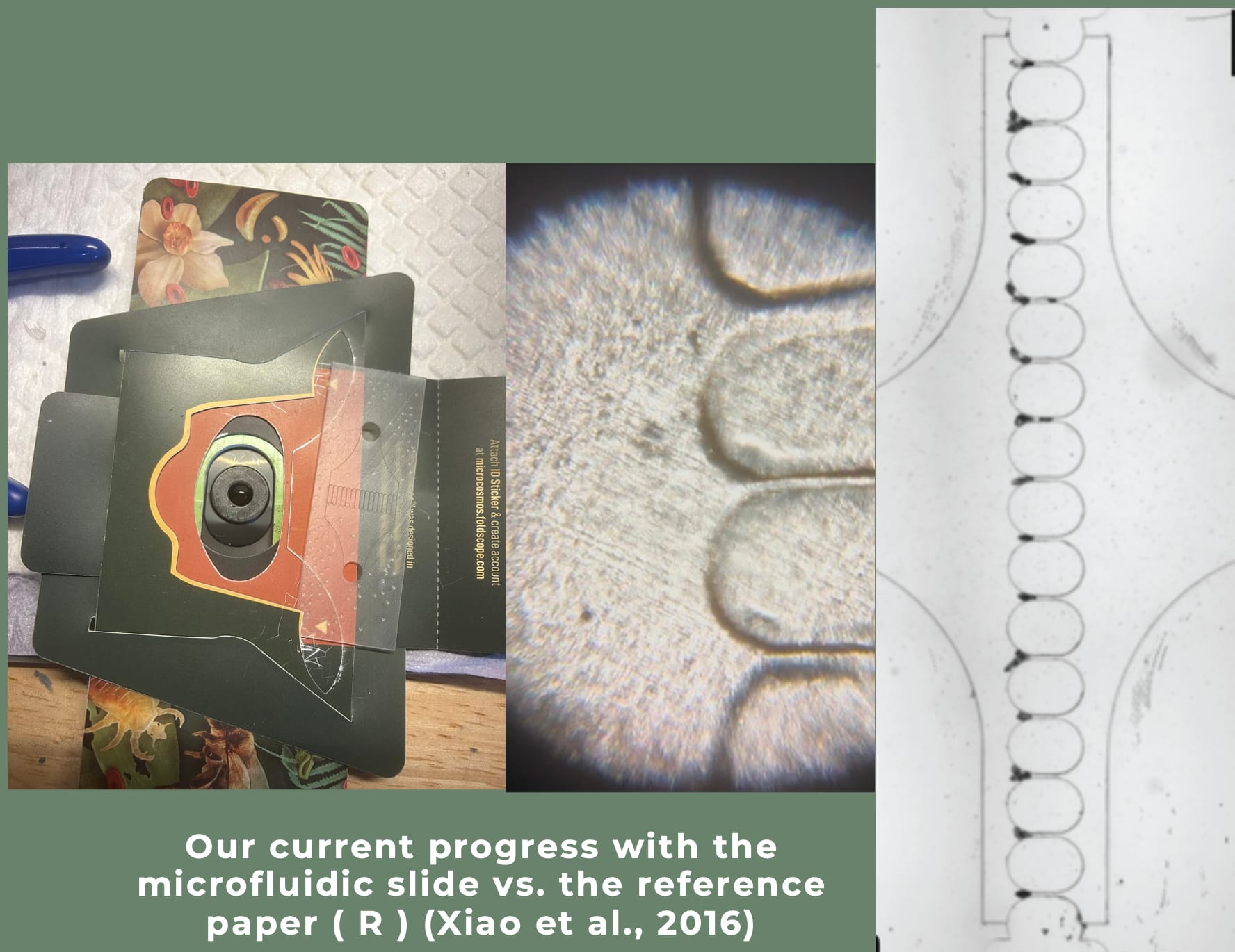 A clear resin 3D-printed slide in a Foldscope, a Foldscope view of the channel, and the reference paper’s device